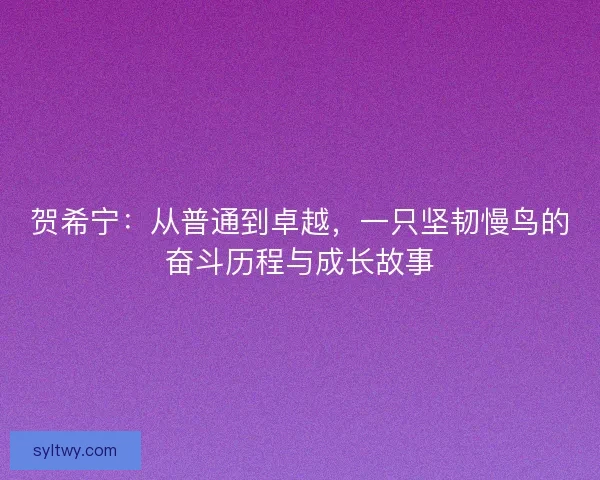 贺希宁：从普通到卓越，一只坚韧慢鸟的奋斗历程与成长故事